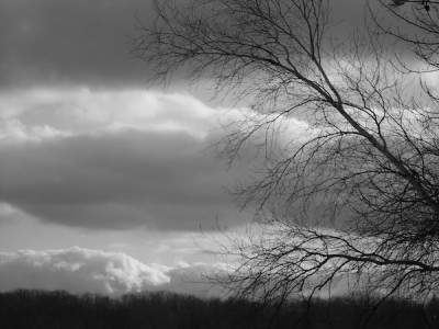 DSCN2294.JPG