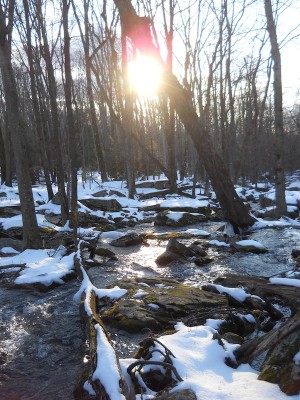 DSCN2359.JPG