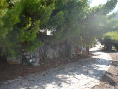the overhanging trees completely hide the bench from the property above