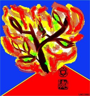 Burning Bush (on No Middleman page) 2002.JPG
