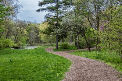 Morton_Arboretum_Lisle_Illinois.jpg