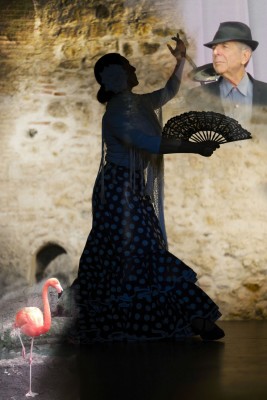 flamenco-1046485 04 25p jpeg20.jpg