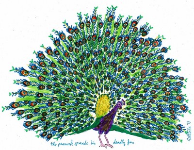 peacock.jpg
