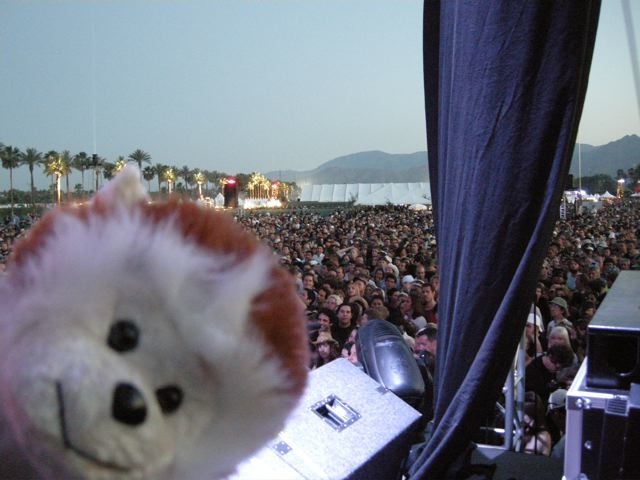 Coachella2.jpg