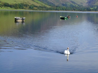 2009 September Barmouth Cohenite meeting for Snowdonia Weekend 043.JPG